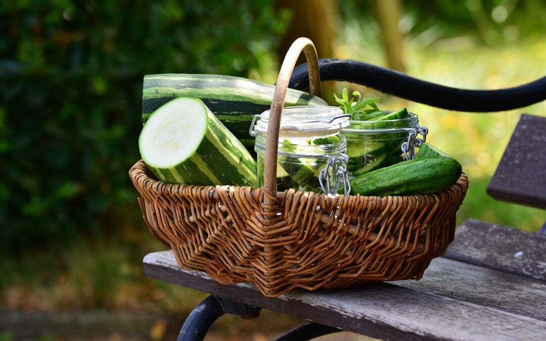 Weidenkorb mit Gurken, Zucchini und Einmachgläsern auf einer Parkbank im Freien.