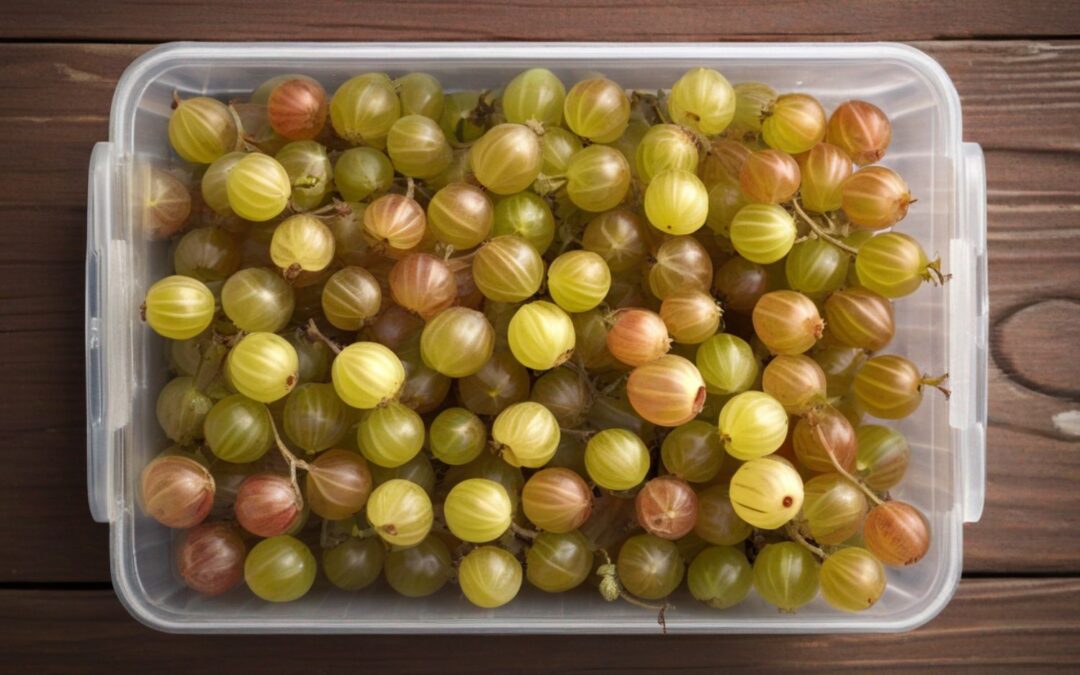 Durchsichtige Box mit vielen grünen und leicht rötlichen Stachelbeeren auf einem Holztisch.