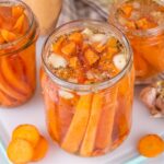 Fermentierte Karottensticks