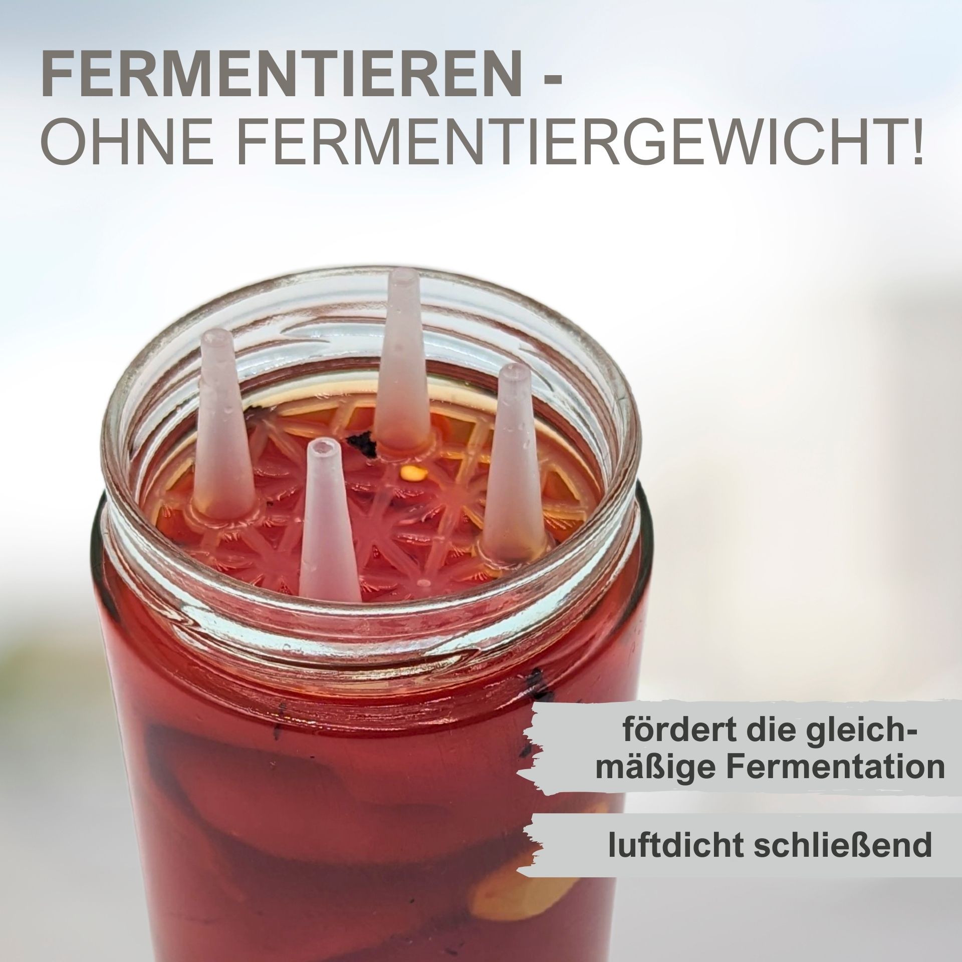 6-teiliges Fermentierglas-Set mit 580 ml – Starterset zum Fermentieren mit Gärventilen und Zubehör Sechsteiliges Starterset zum Fermentieren: Sechs Einmachgläser à 580 ml mit Schraubdeckeln, jeweils bestückt mit speziellem Gärdeckel und Silikondichtung, auf weißem Hintergrund angeordnet.