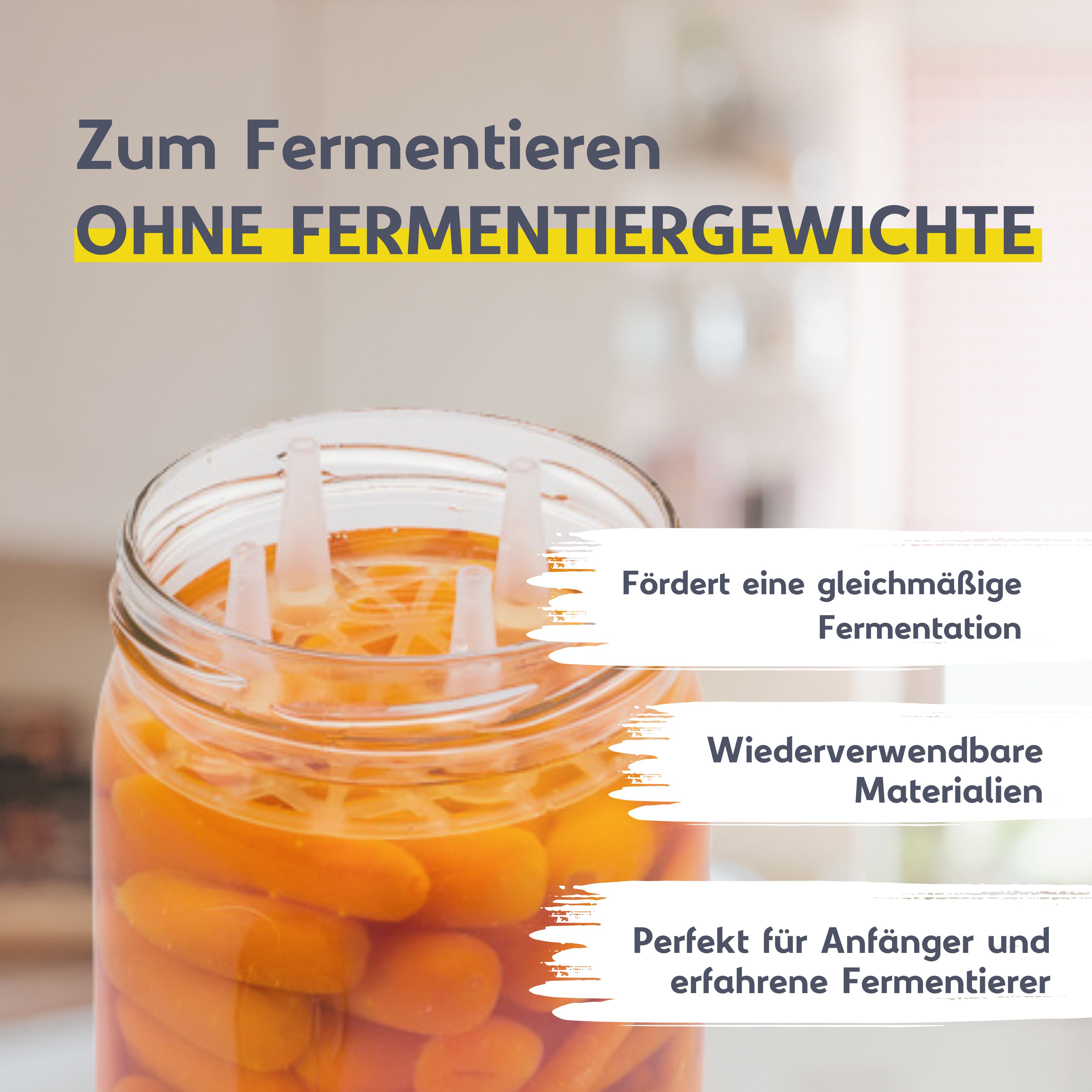 Sechsteiliges Fermentierglas-Set von Mikken, bestehend aus sechs transparenten Einmachgläsern mit 540 ml Fassungsvermögen, jeweils mit Deckel und Fermentieraufsatz, vor weißem Hintergrund.