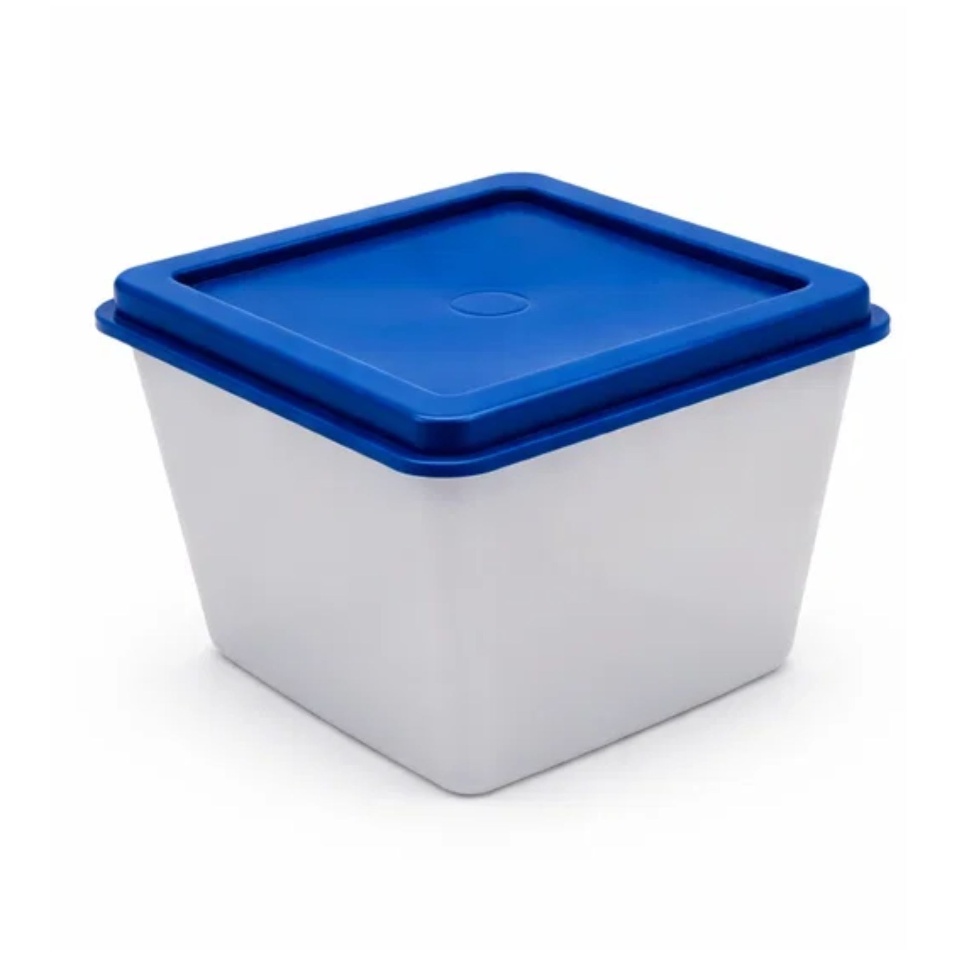 Kunststoffdose 100 ml Frischhaltebox mit blauem Deckel auf weißem Hintergrund