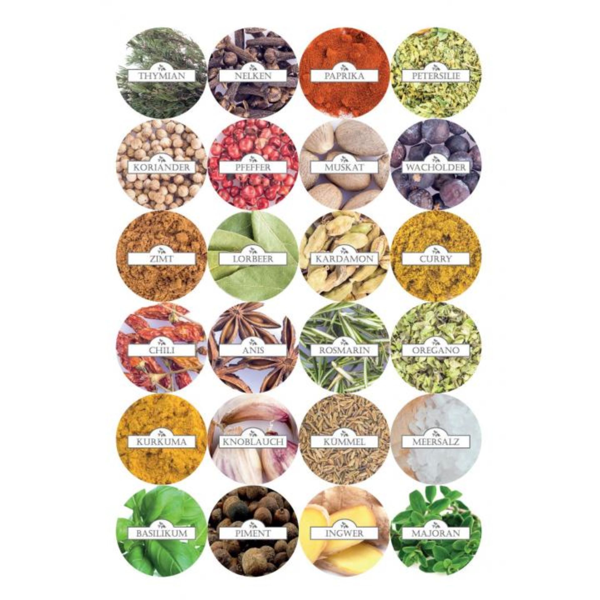 24 Gewürzetiketten rund auf einem weißen Hintergrund mit variantenreichen, farbenfrohen Designs für Gläser und Dosenbeschriftung, ideal zur übersichtlichen und stilvollen Lagerung von Küchengewürzen