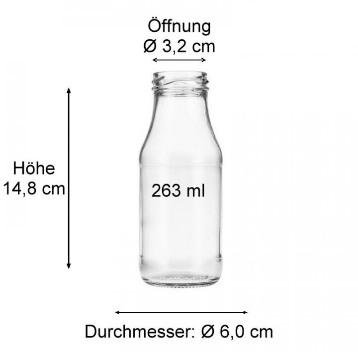 Smoothie Flasche 263 ml Klarglas Dressingflasche
