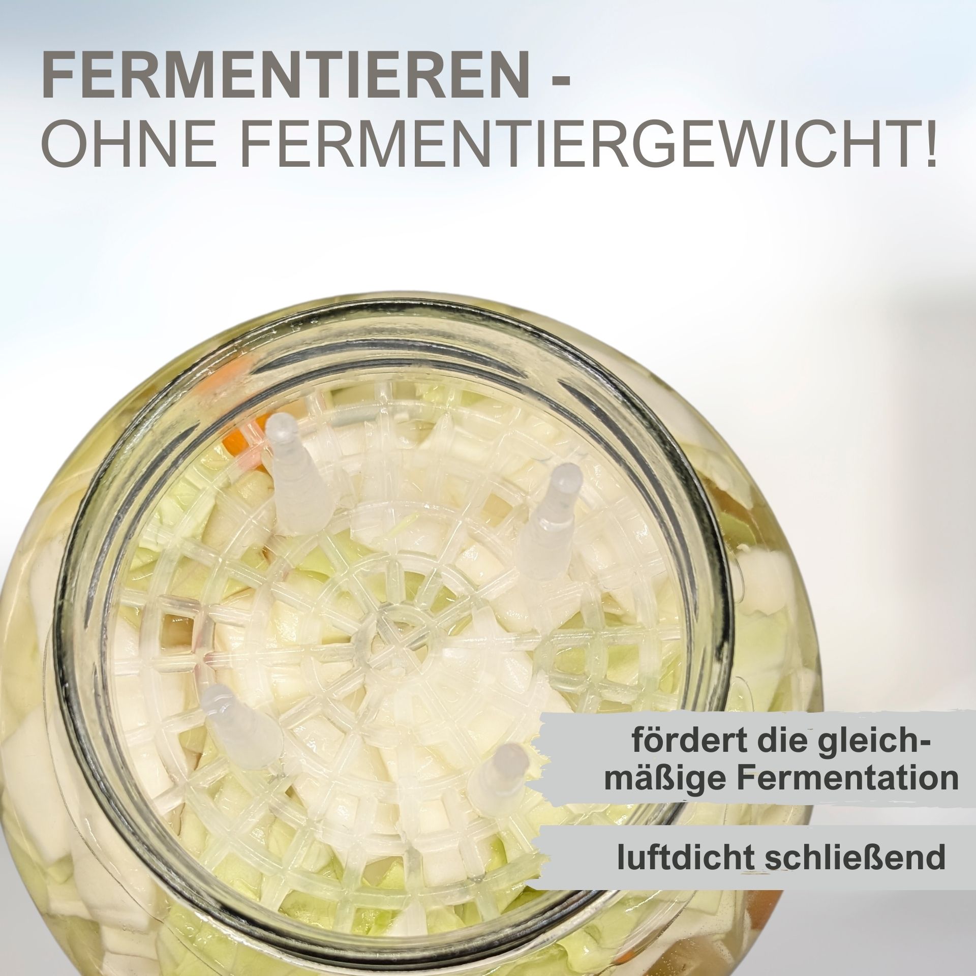 Fermentier-Set bestehend aus sechs 720-ml-Mikken-Gläsern mit Schraubdeckeln, eingelegtem Gemüse, sechs transparenten Fermentiergittern und einem Holzstößel, auf hellem Untergrund arrangiert.