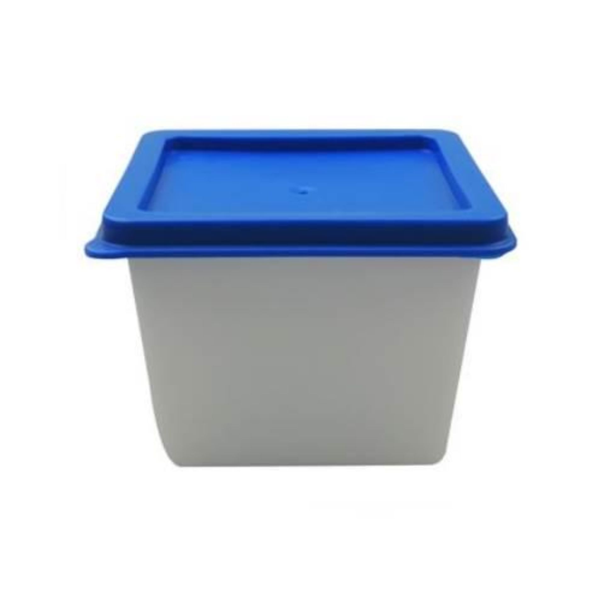 Kunststoffdose 100 ml Frischhaltebox mit blauem Deckel auf weißem Hintergrund